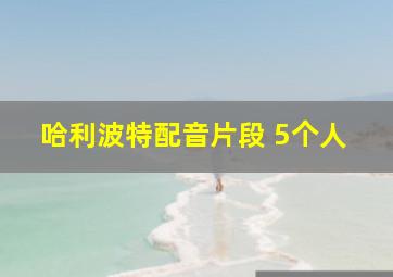 哈利波特配音片段 5个人